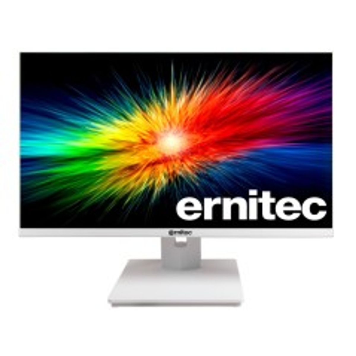 Ernitec 24'' Surveillance monitor