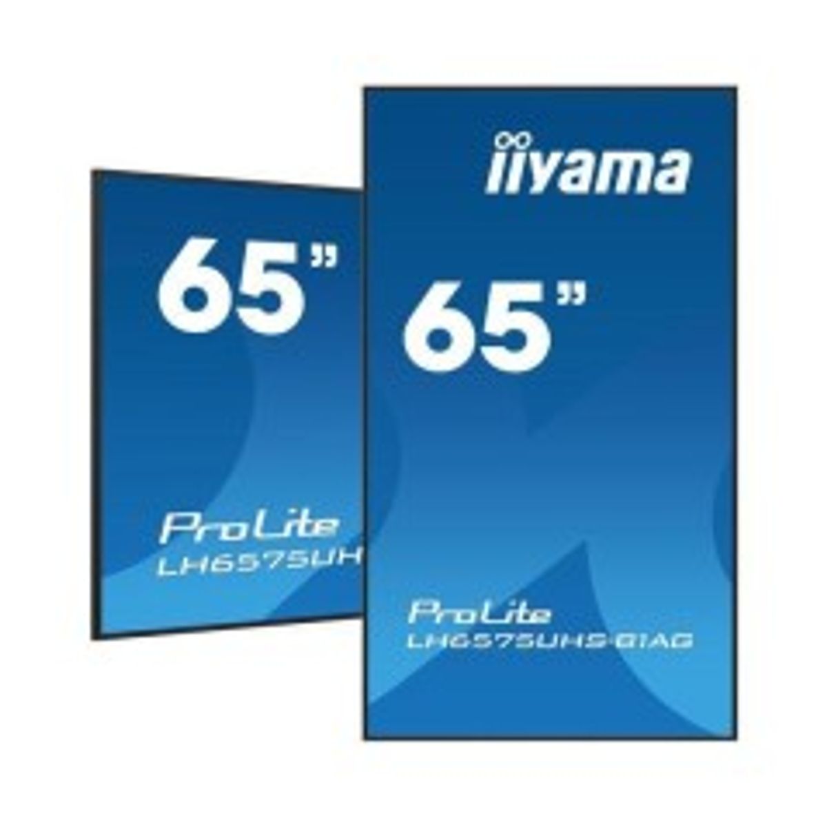 iiyama 65" 3840x2160, UHD IPS panel,