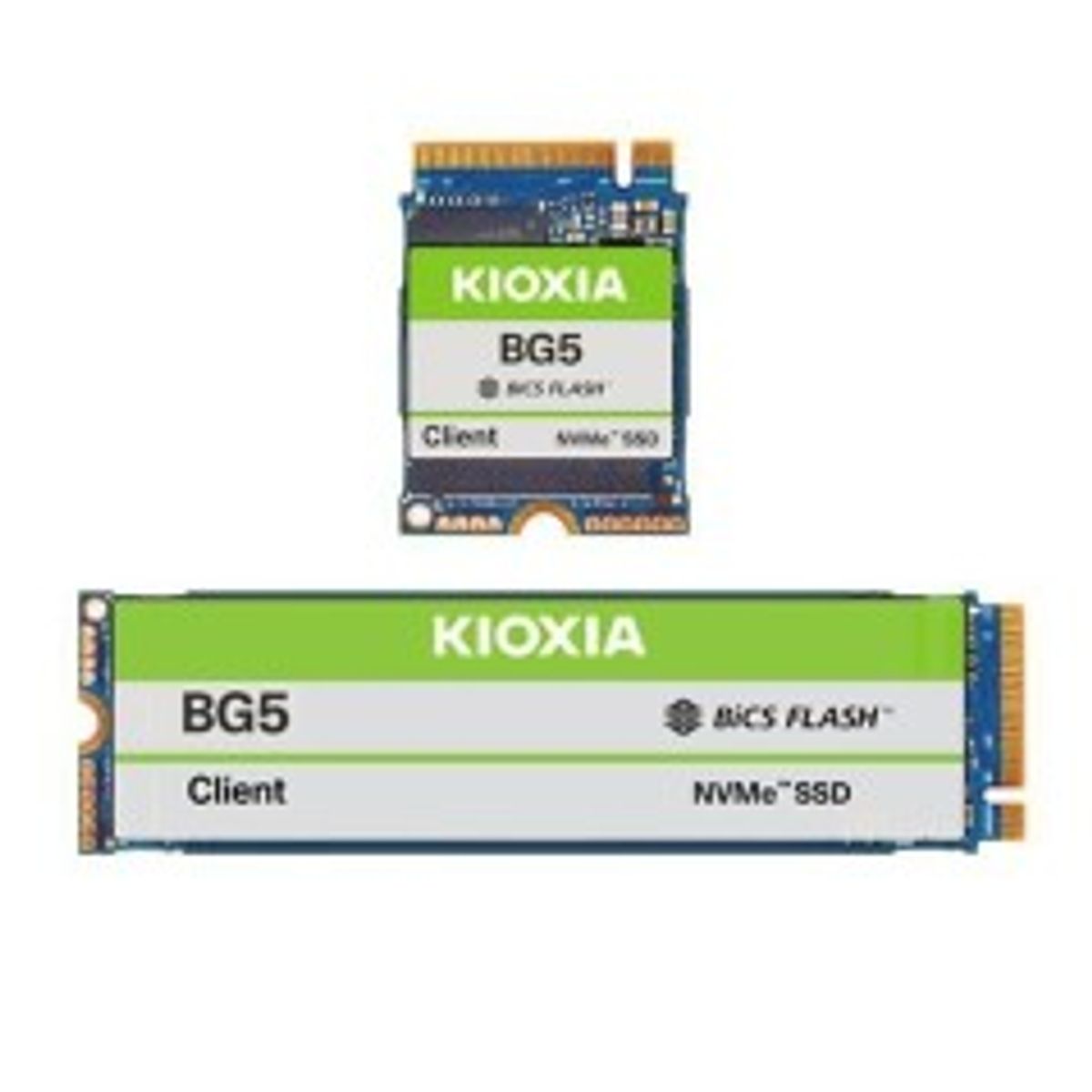 KIOXIA Internal Solid State Drive