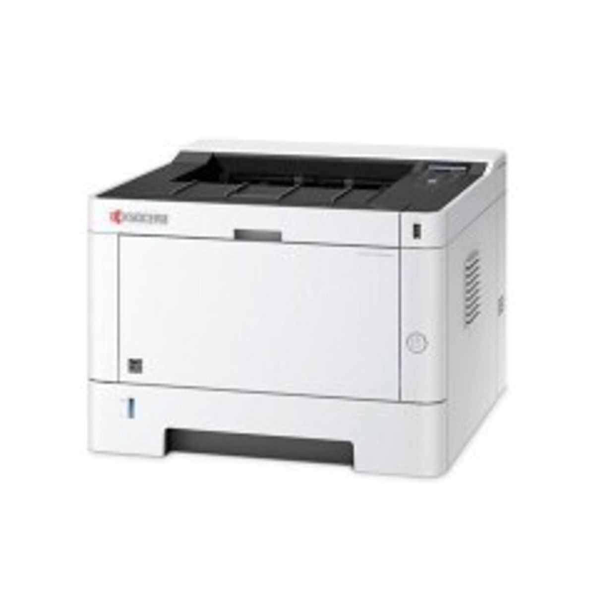 Kyocera Ecosys P2040dn mono