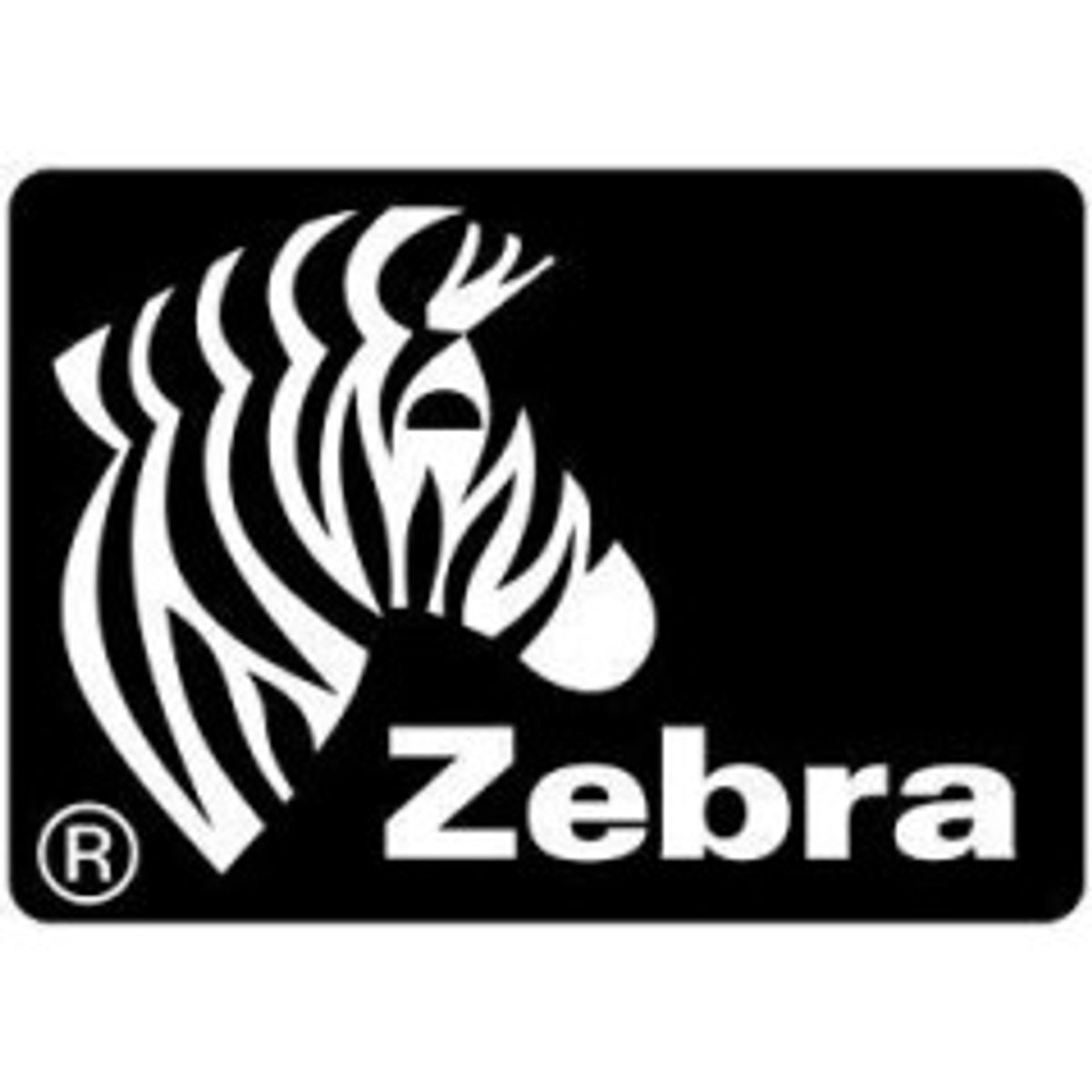 Zebra Label roll 148 x 210mm