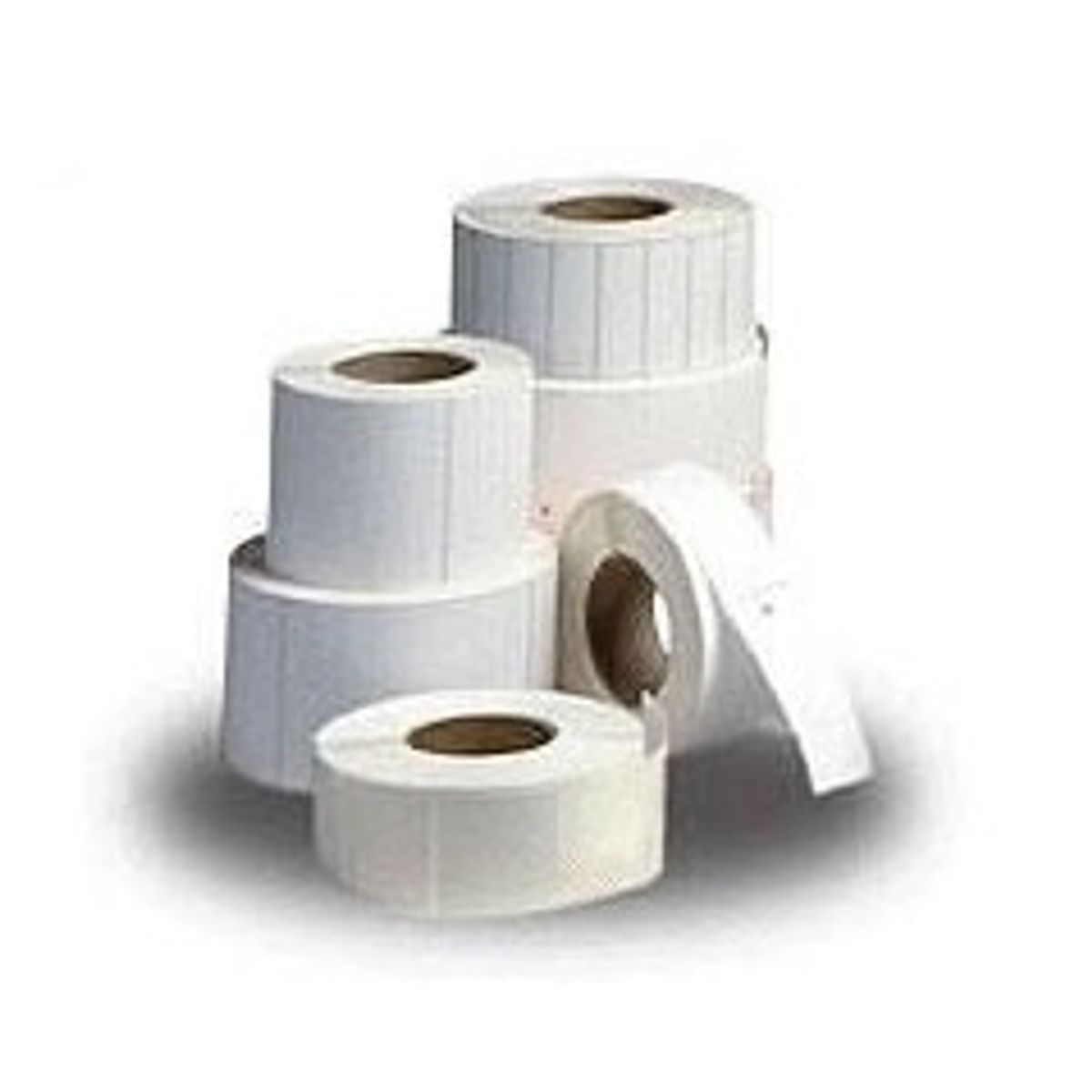 Zebra Label roll, 31x22mm, 12pcs/box