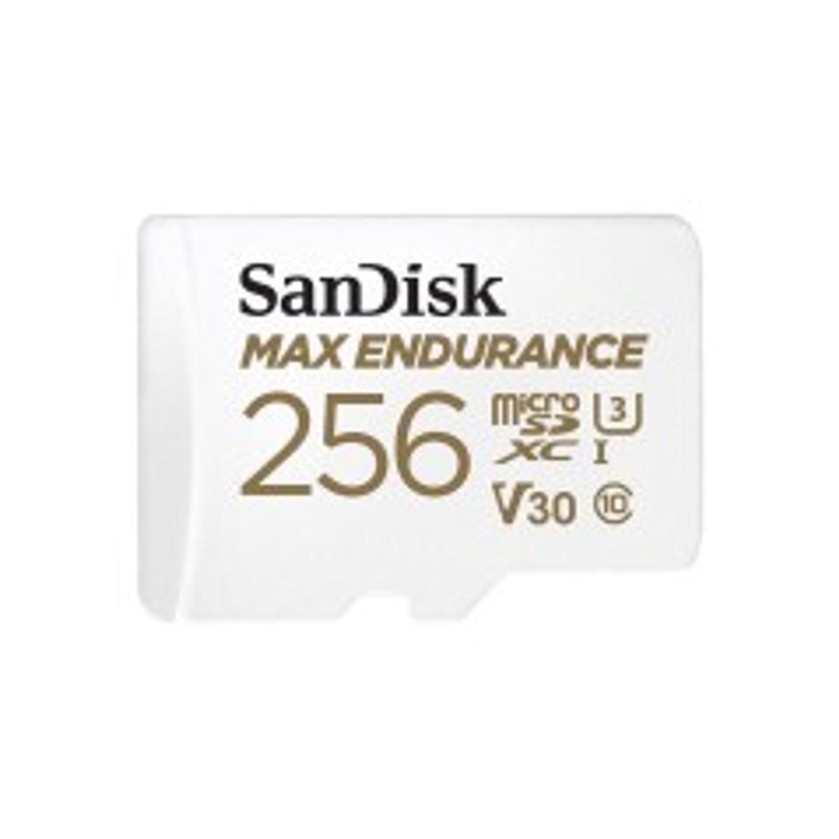 SanDisk Max Endurance microSDXC 256GB 100MB/s