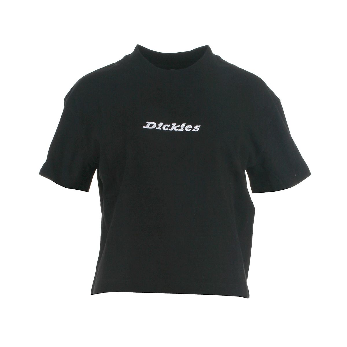 Dickies t-shirt s/s, Loretto, blk - 188 - L+ - 40