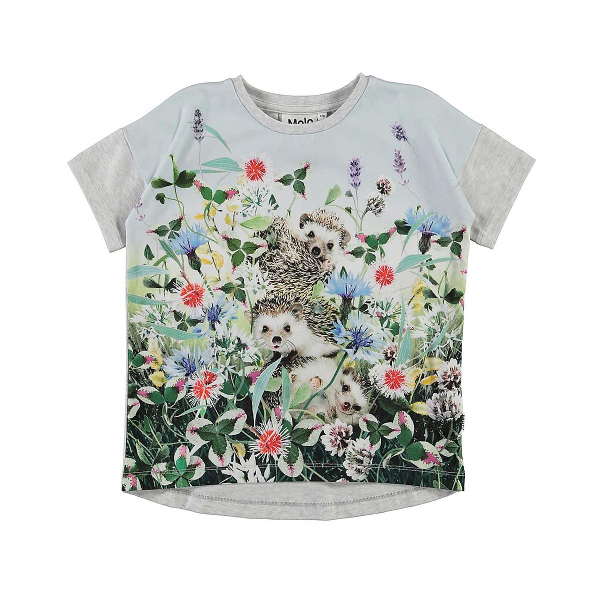 Molo t-shirt s/s, Raeesa, hedgehogs - 98 - 3år