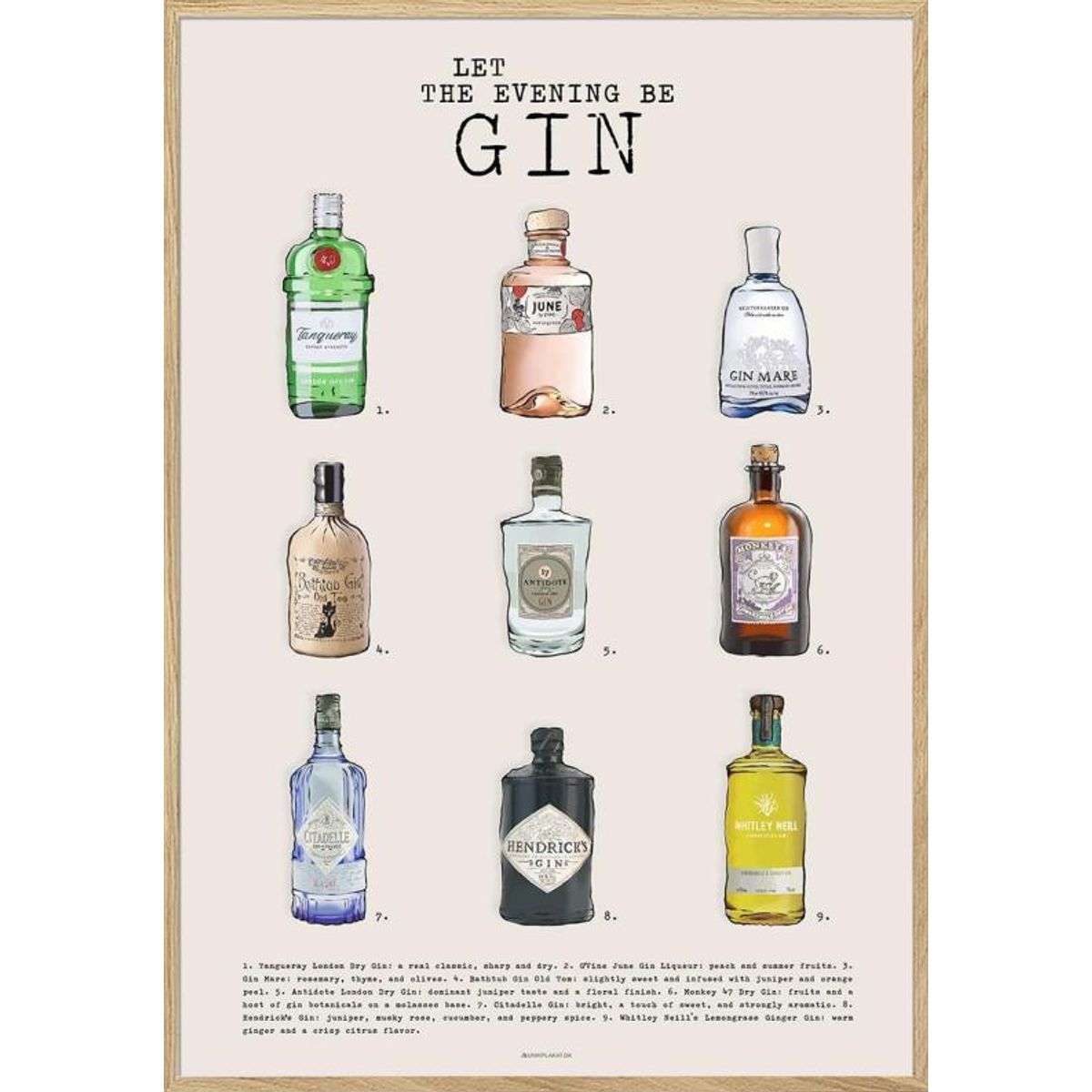 Gin plakat - 9 friske typer gin