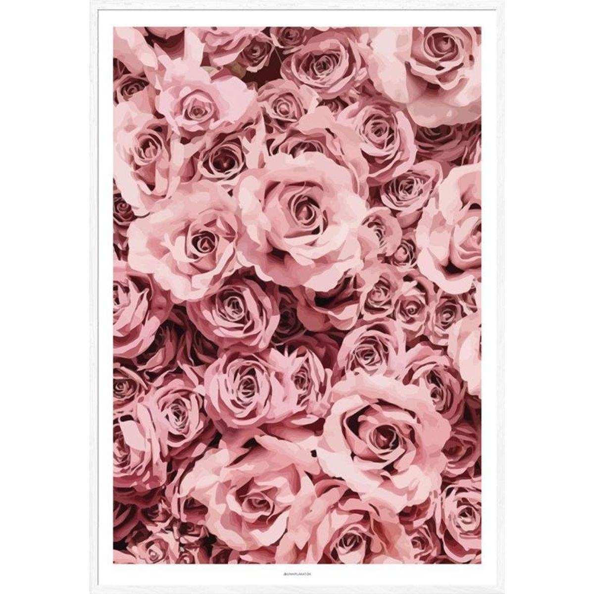 Grafisk plakat - Pink roses