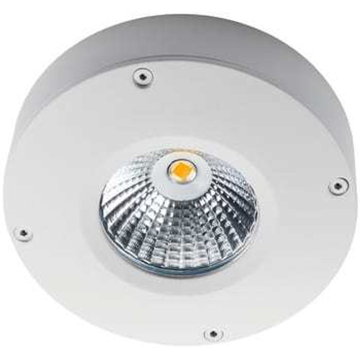 SG Armaturen Loftarmatur Callisto LED 4W 3000K mat-hvid