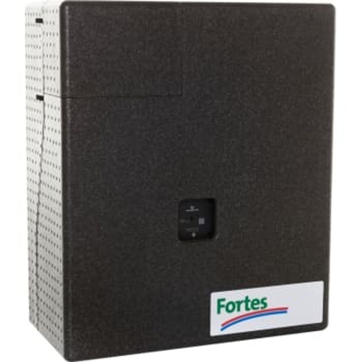 Fortes Energy Systems Fortes hoval homeheat td-2