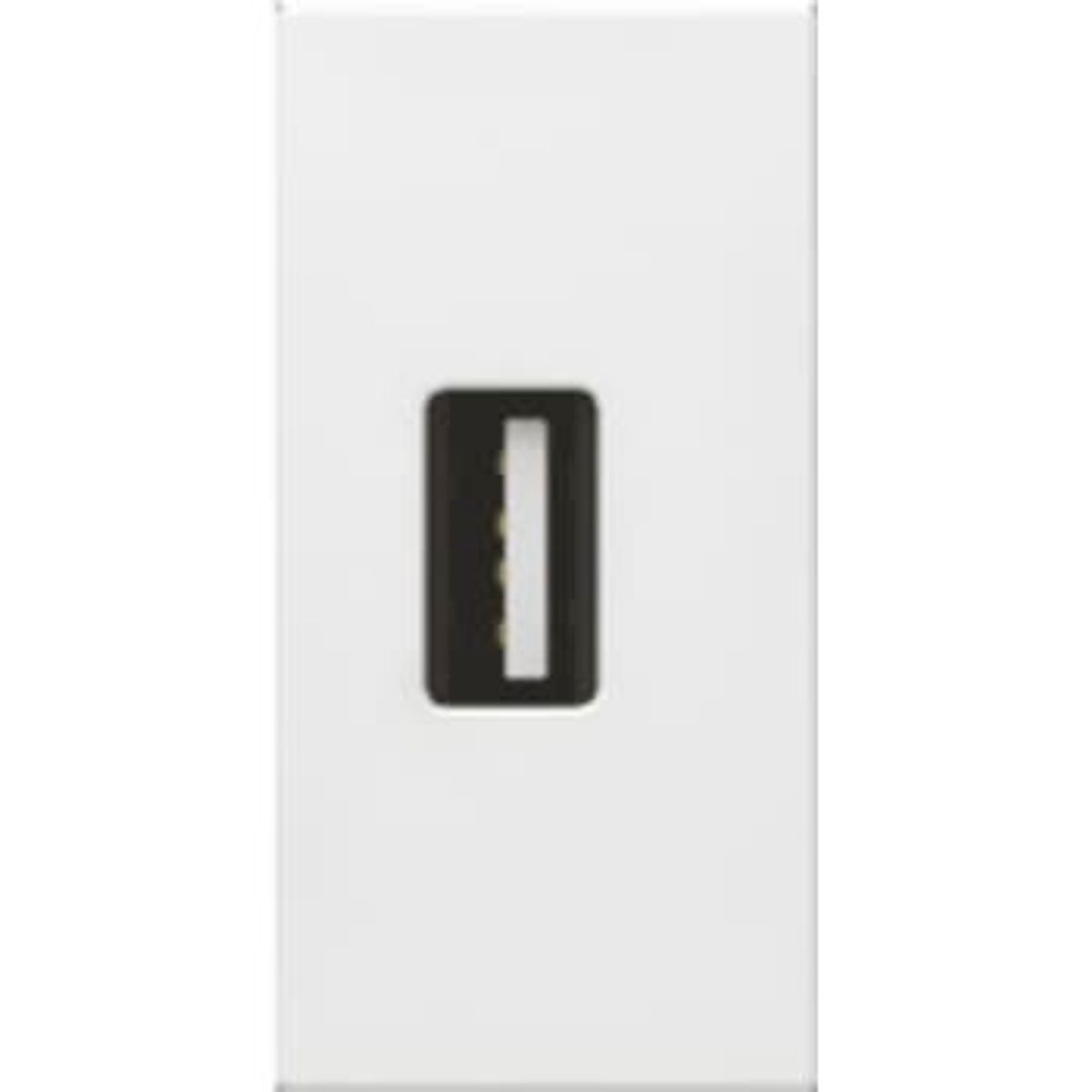 Legrand Usb hunstik 1m hvid