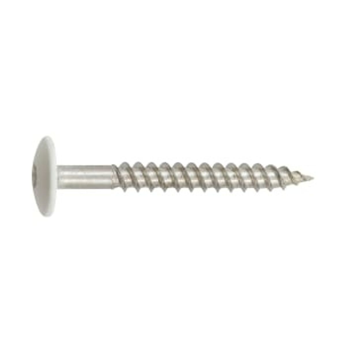 NKT Fasteners Facadeskrue, rustfri A2, DH, TX20, 4,5x40 mm, hvid, 200 stk.