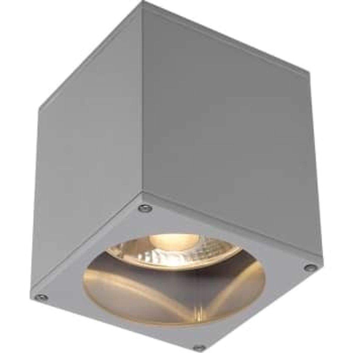 SLV Loftlampe Big Theo, GU10 (QPAR111), alu-grå, IP44