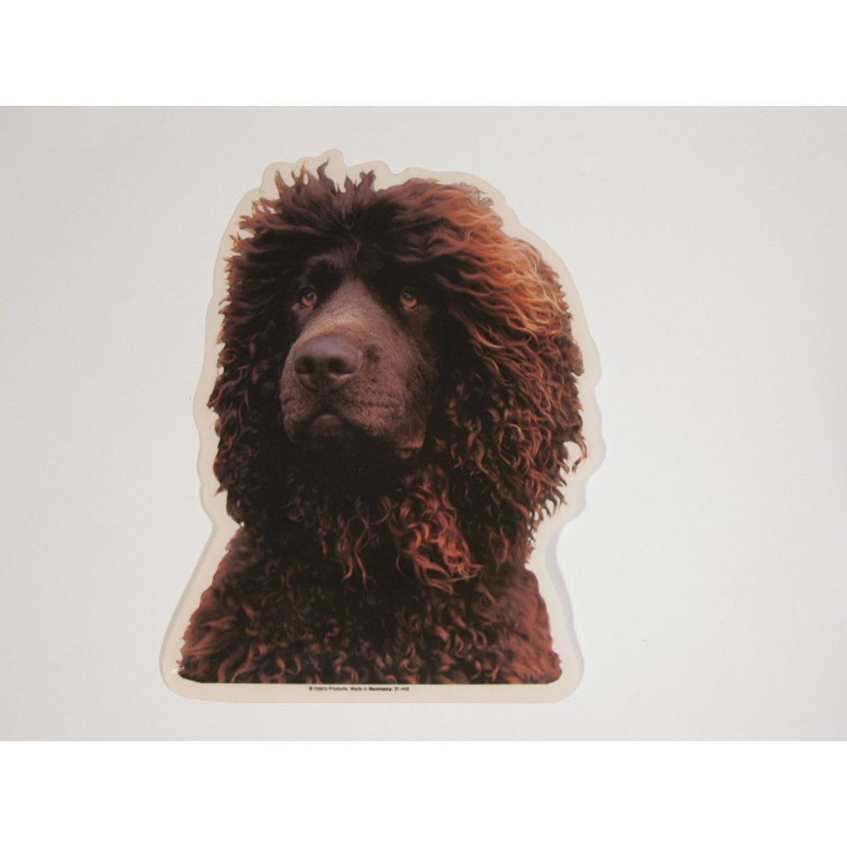 Irish Water Spaniel, hv. Vælg: klistermærke, nøglering, broche, slipsenål, mm.