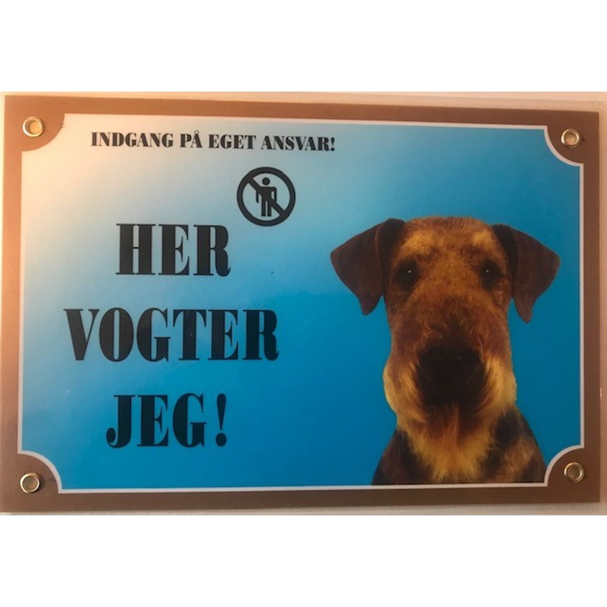 Her vogter jeg Aierdale Terrier.