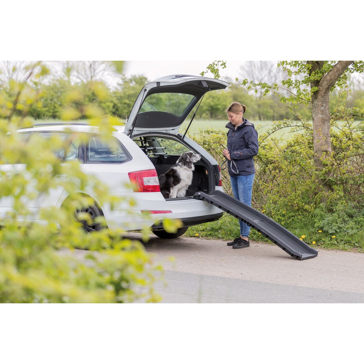 Hundens rampe til bilen. "Petwalk" foldbar bilrampe i plast