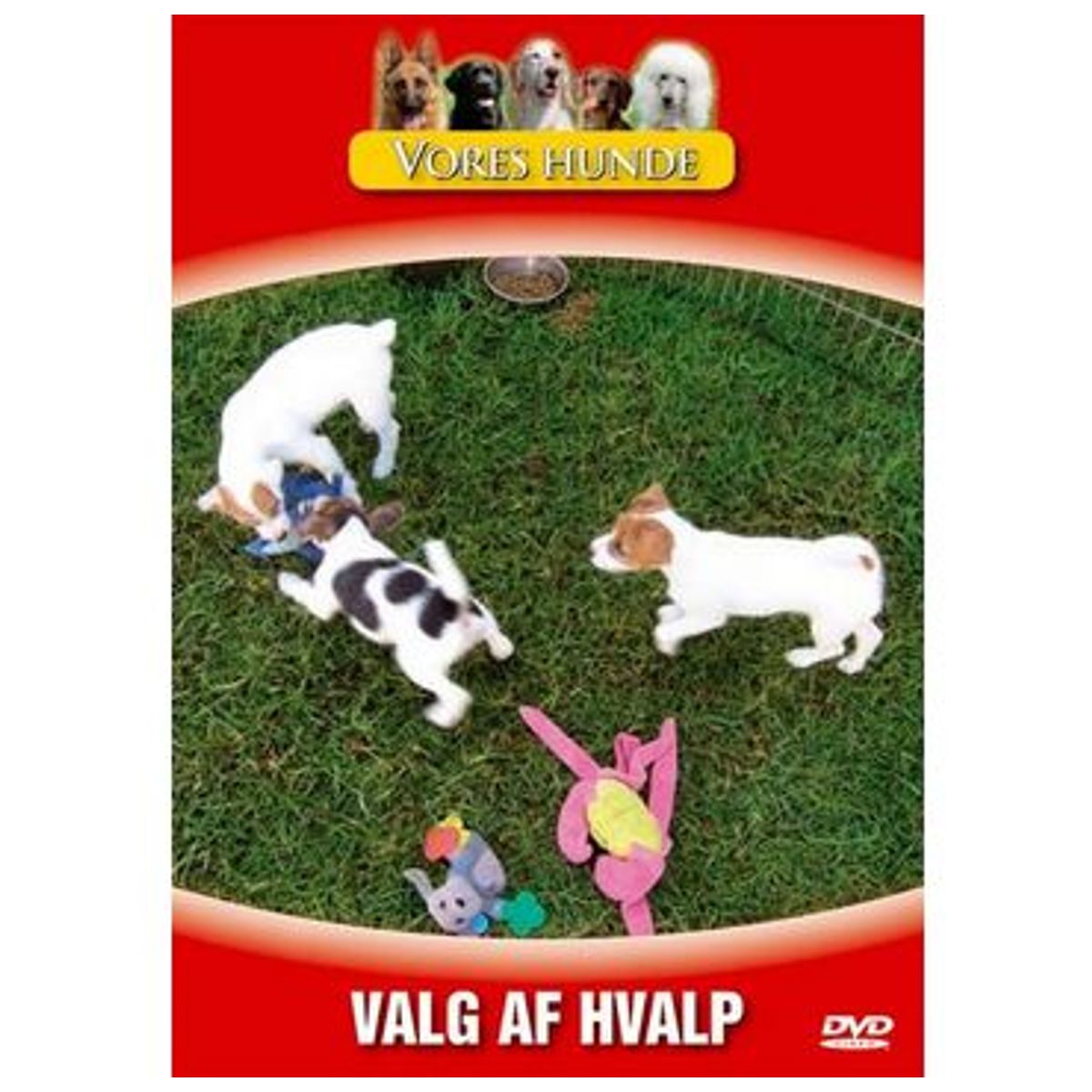 Vores hunde - Valg af hvalp. DVD.