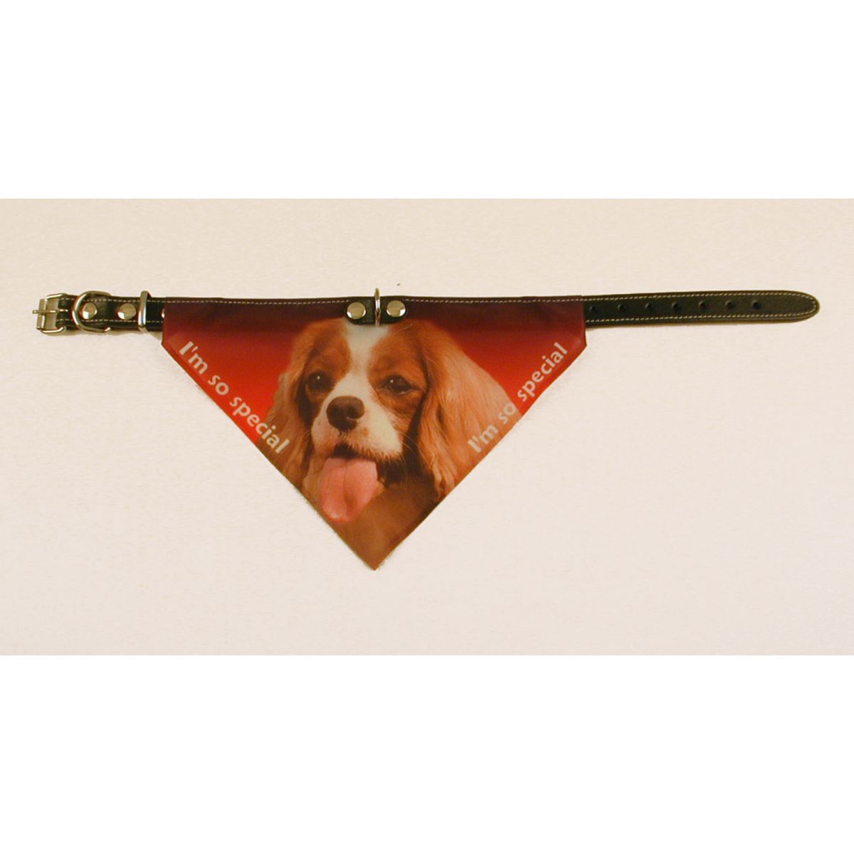 Bandana halsbånd med motiv af Cavalier King Charles Spaniel flere varianter