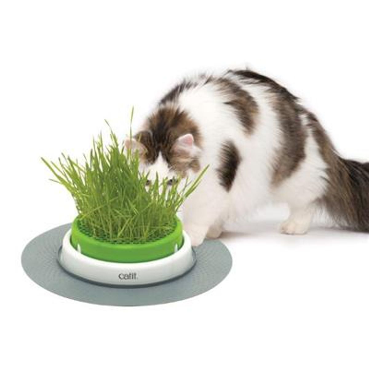 Catit Senses 2.0 Grass Garden Kit / græsdispenser