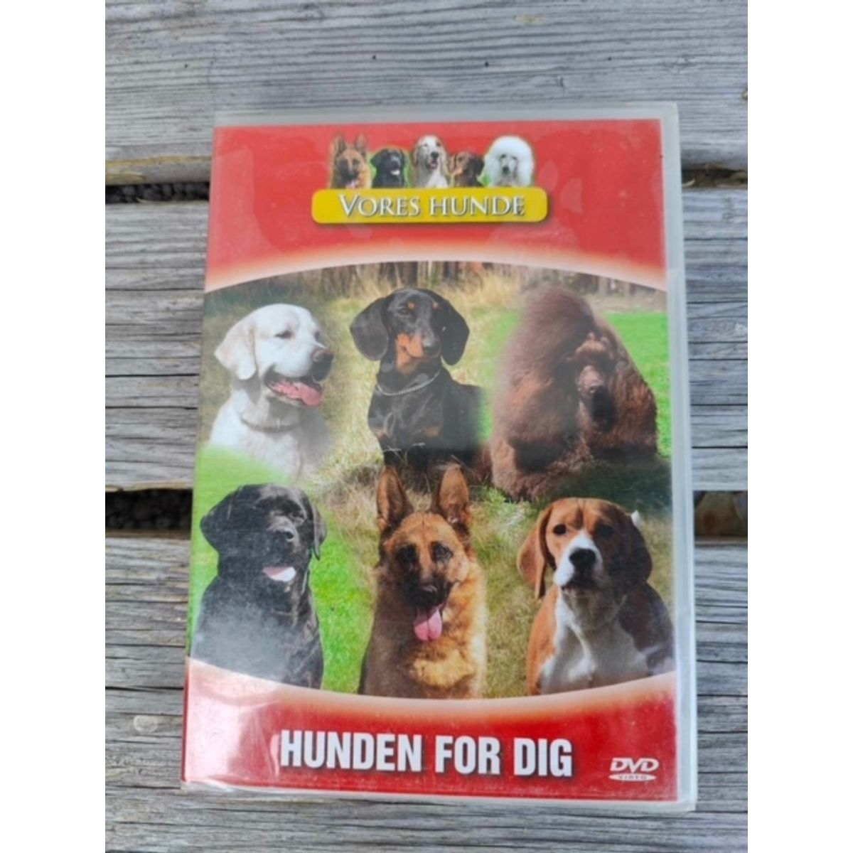 Vores hunde - Hunden for dig