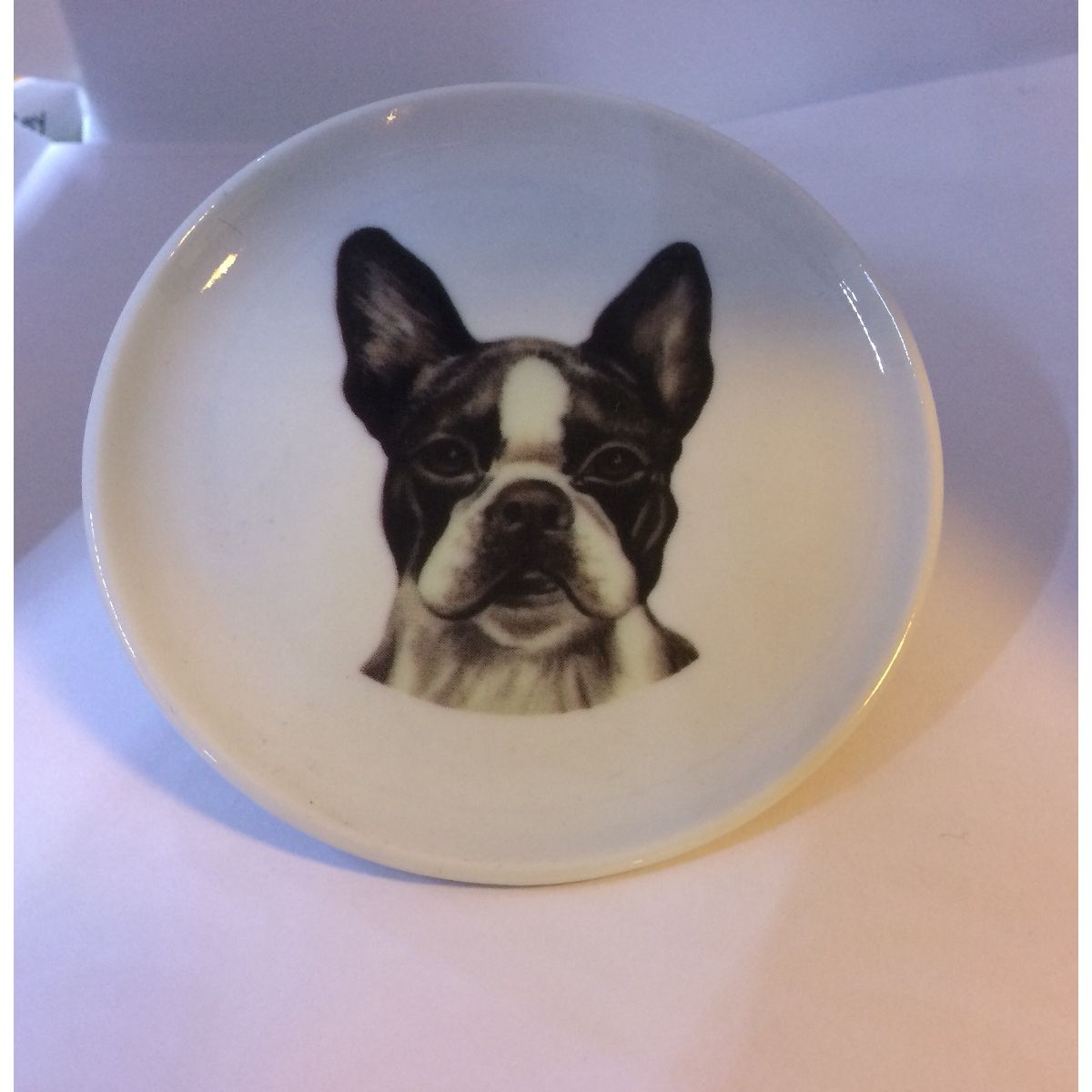 Platte med Boston Terrier