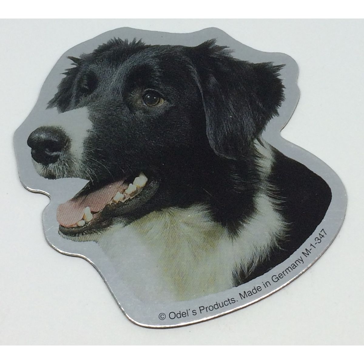 Magnet med Border Collie