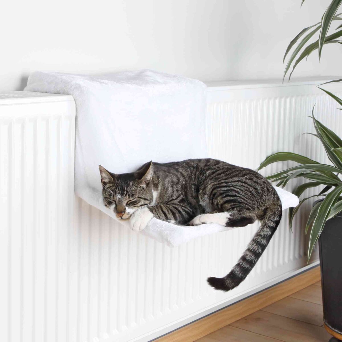 Radiatorseng "de Luxe" til kat.