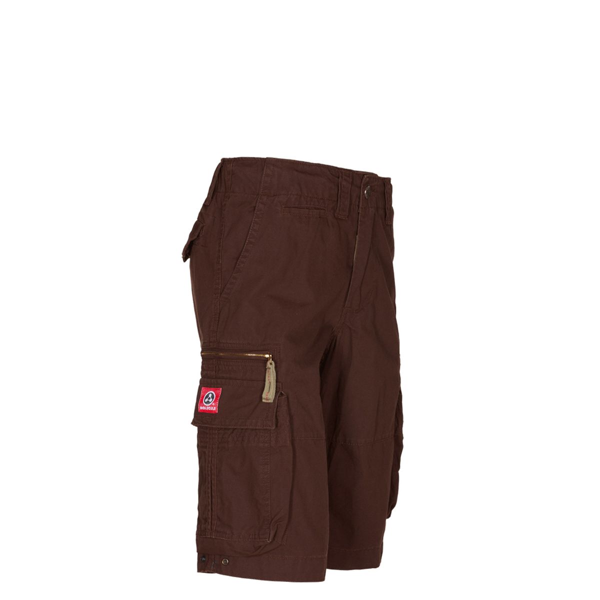 Molecule Cruisers Cargo Shorts Brun