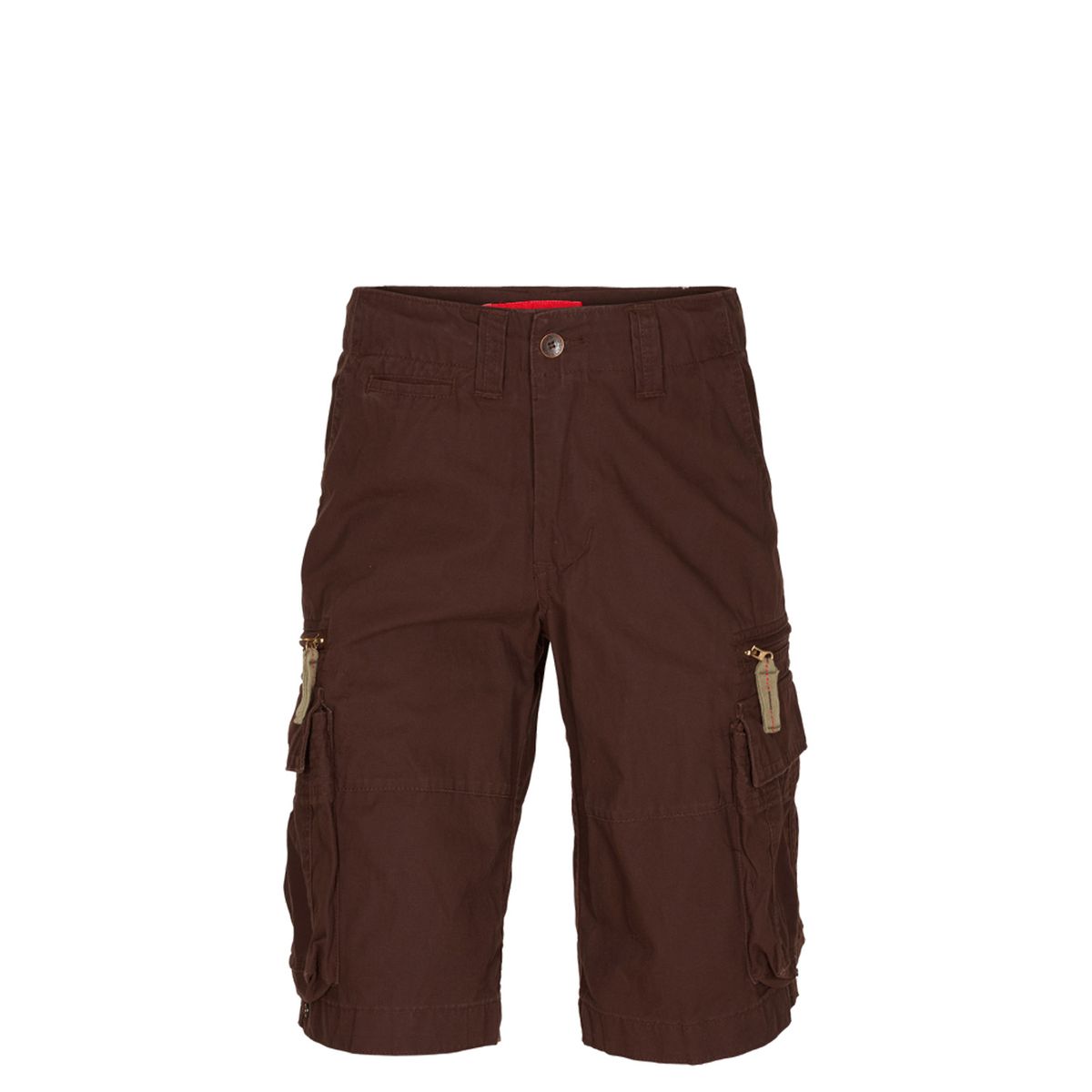 Molecule Cruisers Cargo Shorts Brun