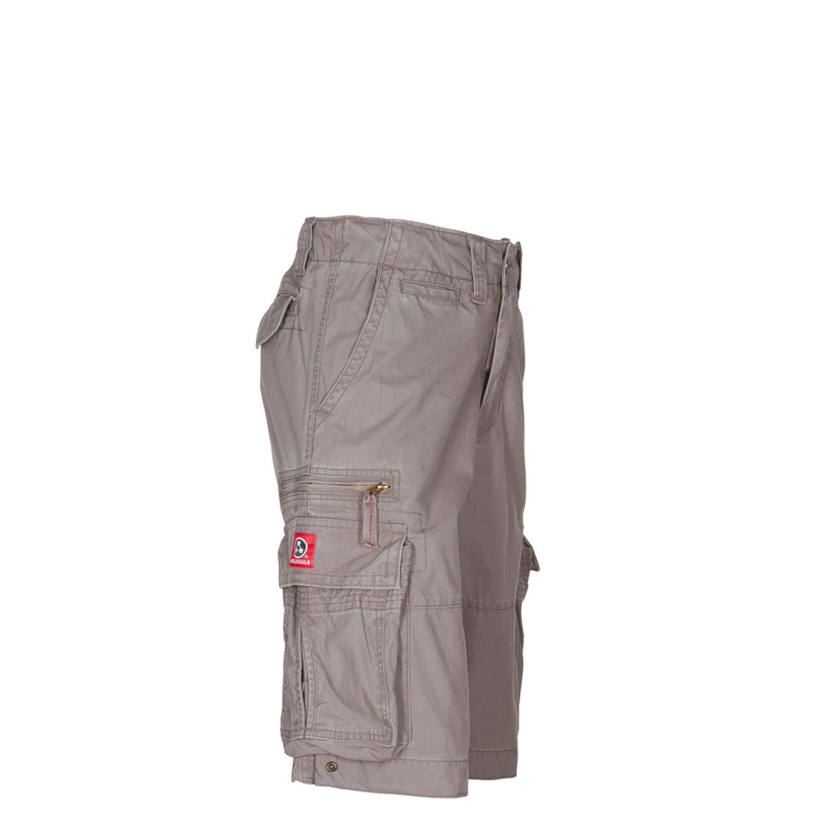 Molecule Cruisers Cargo Shorts Grå