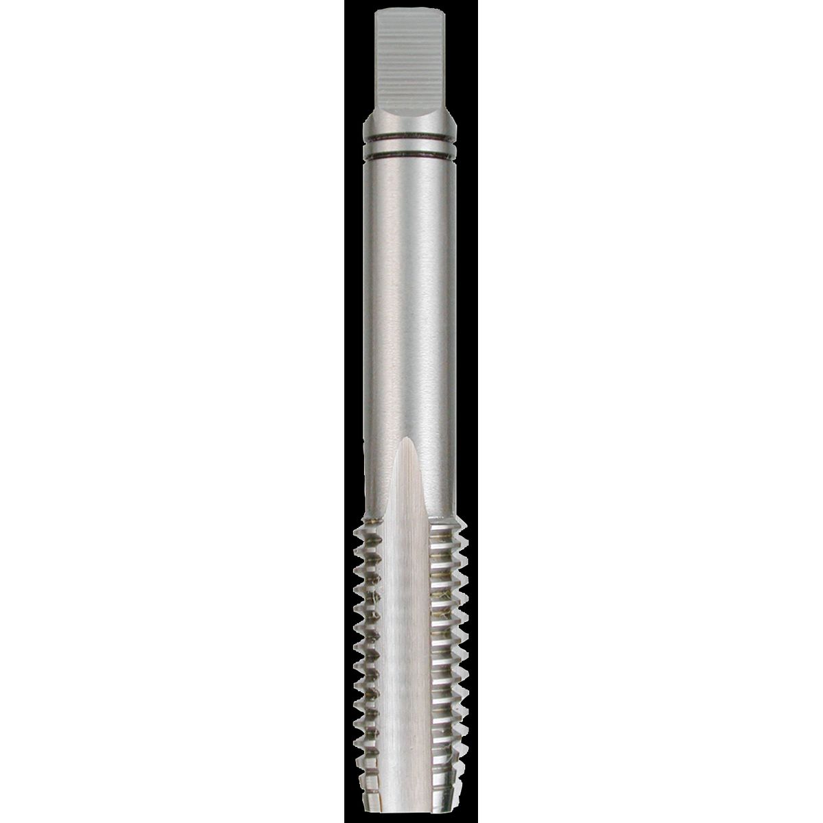 Mellemtap DIN 352 HSS M24Ã3,0mm DK