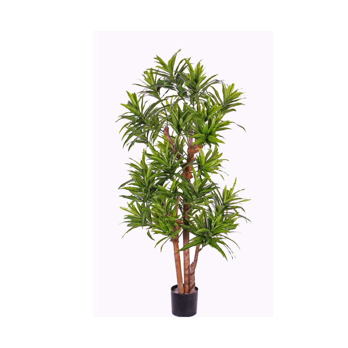 Dracena palme 120 cm med 846 blade