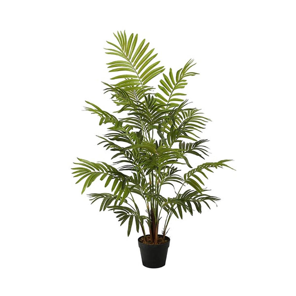 Areca palme 120 cm med 9 palmeblade