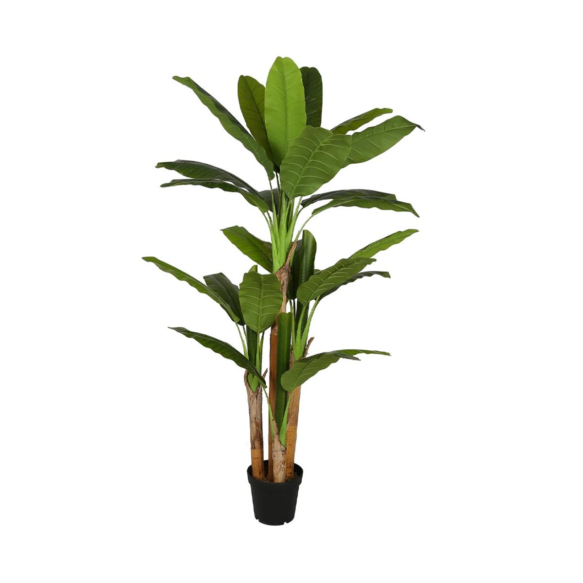 Bananpalme 190 cm med 28 blade