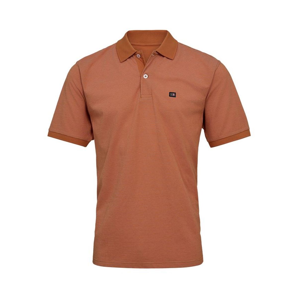 Polo modern fit