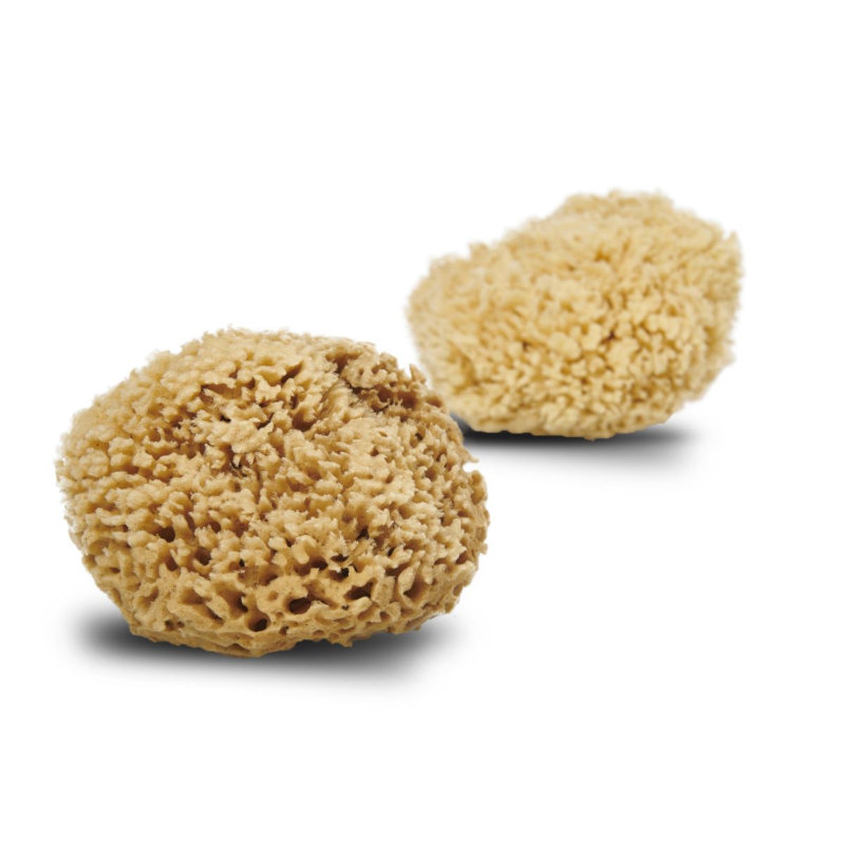 Cocoon honeycomb wool svamp 13-14 cm