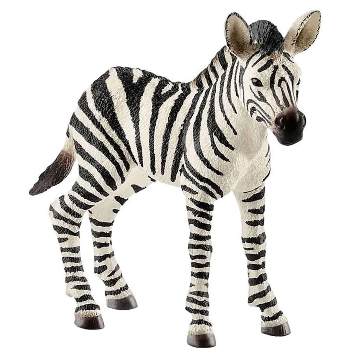 Schleich Wild Life - H: 7 cm - Zebra Føl 14811