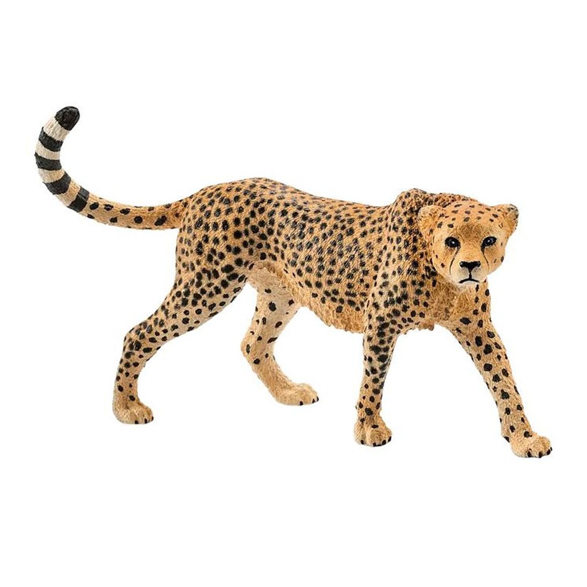 Schleich Wild Life - H: 5 cm - Gepard 14746