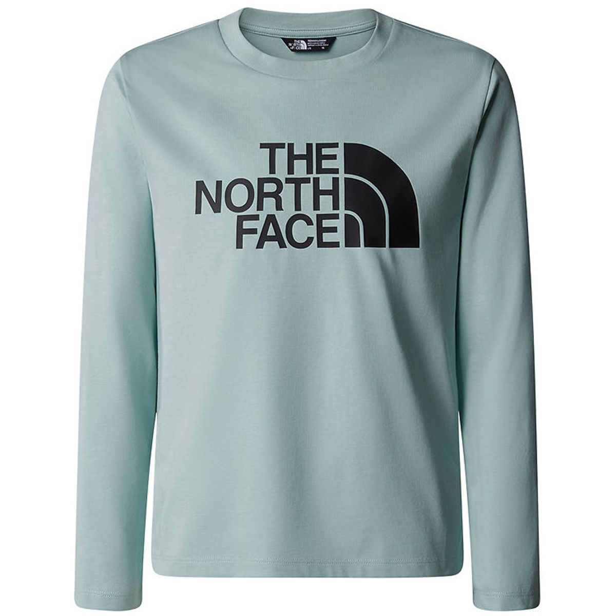 The North Face Bluse - Easy - Muted Pine