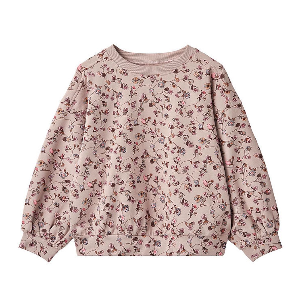 Wheat Sweatshirt - Lia - Dry Rose Flower Vine