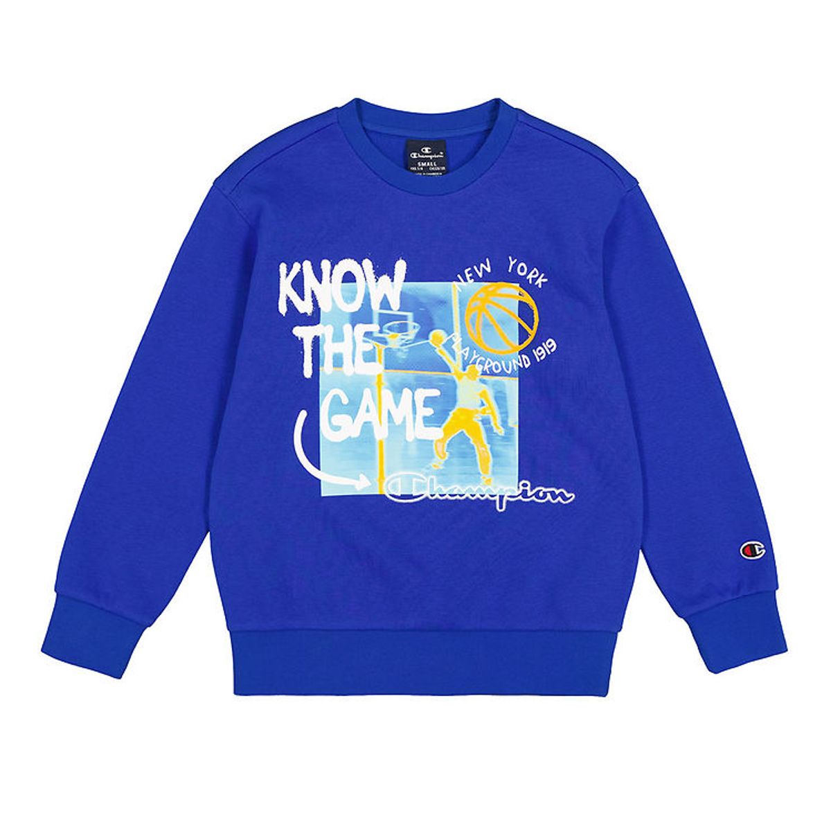 Champion Sweatshirt - Crewneck - Surf the Web