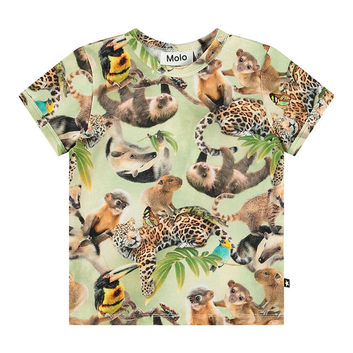 Molo T-shirt - Easy - Jungle Cubs