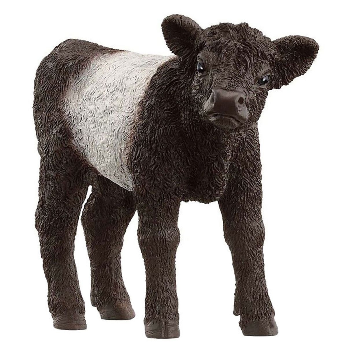 Schleich Farm World - Gallowaykalv - H: 5,7 cm - 13969