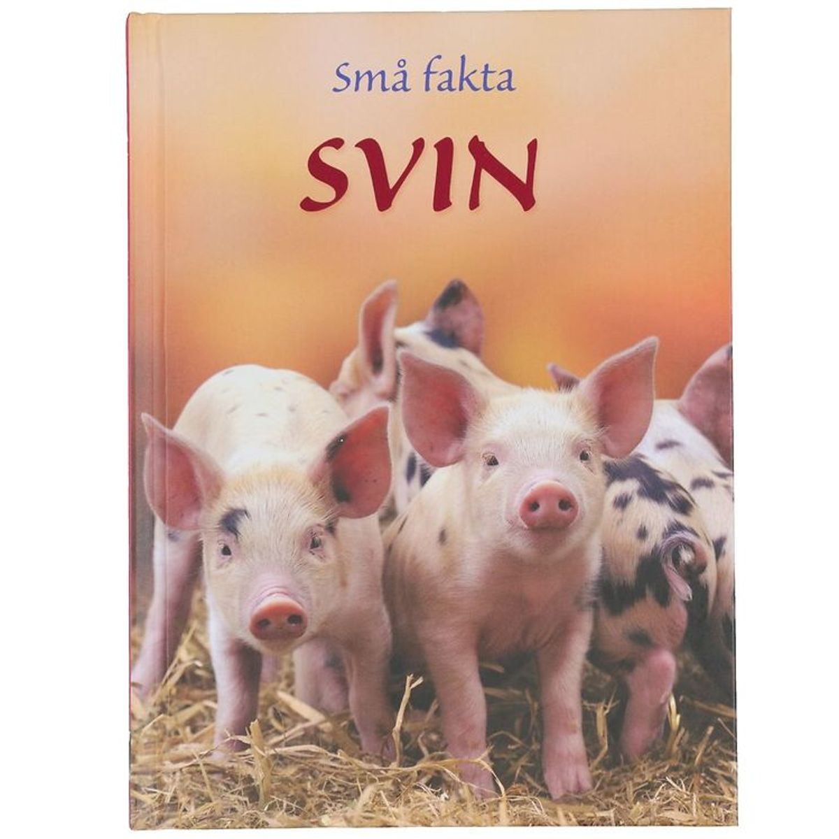 Gads Forlag Bog - Små fakta - Svin - Dansk