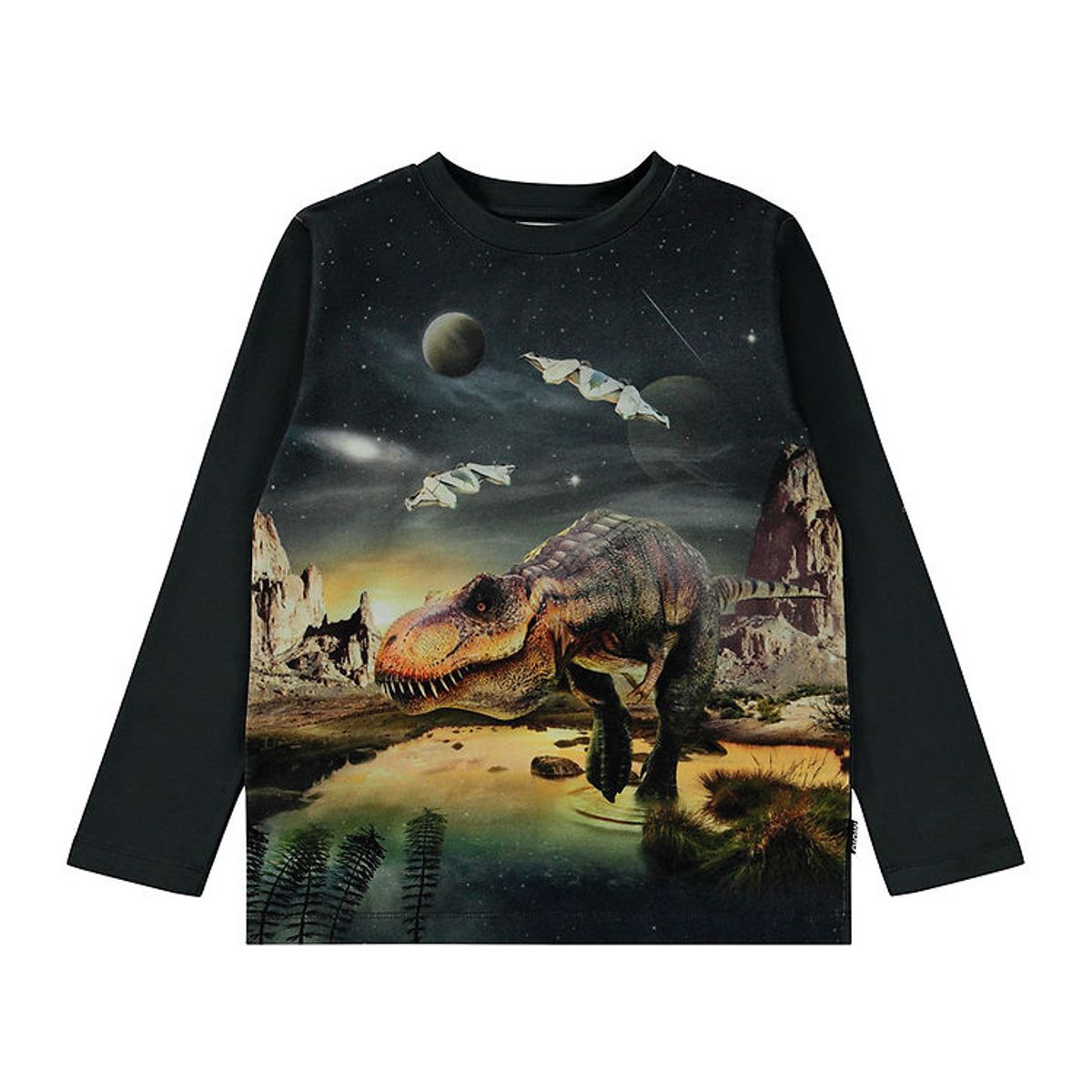 Molo Bluse - Reif - Rex Planet