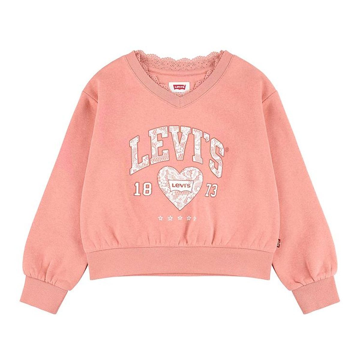 Levis Kids Sweatshirt - Meet & Greet - Terra Cotta m. Print