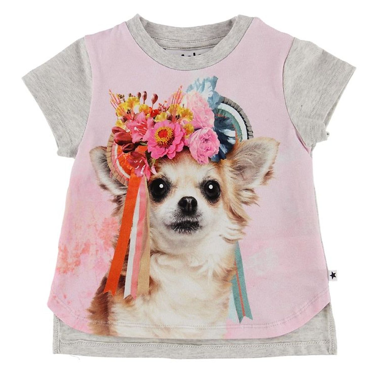 Molo T-shirt - Erin - Chihuahua