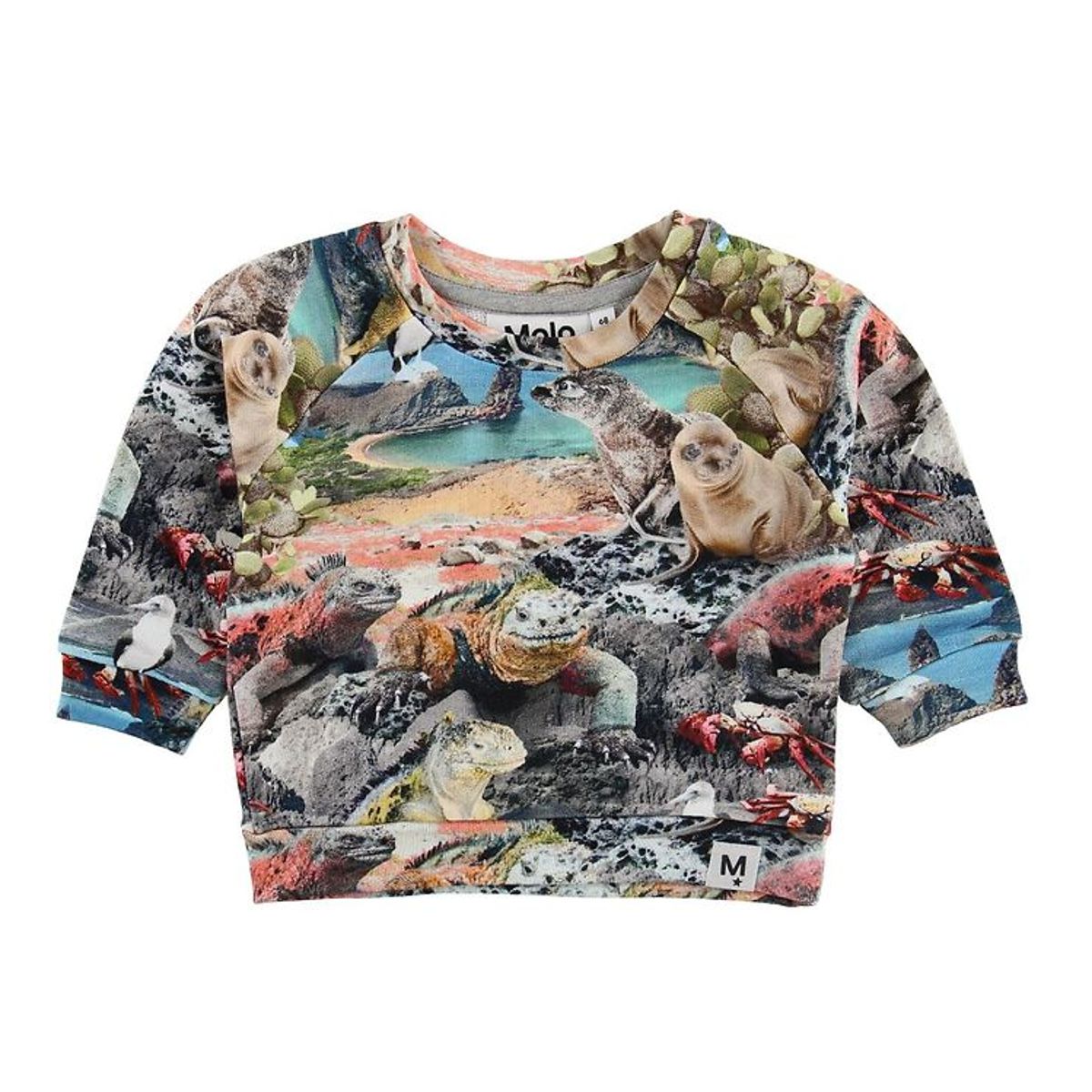 Molo Sweatshirt - Dag - Galapagos Wildlife