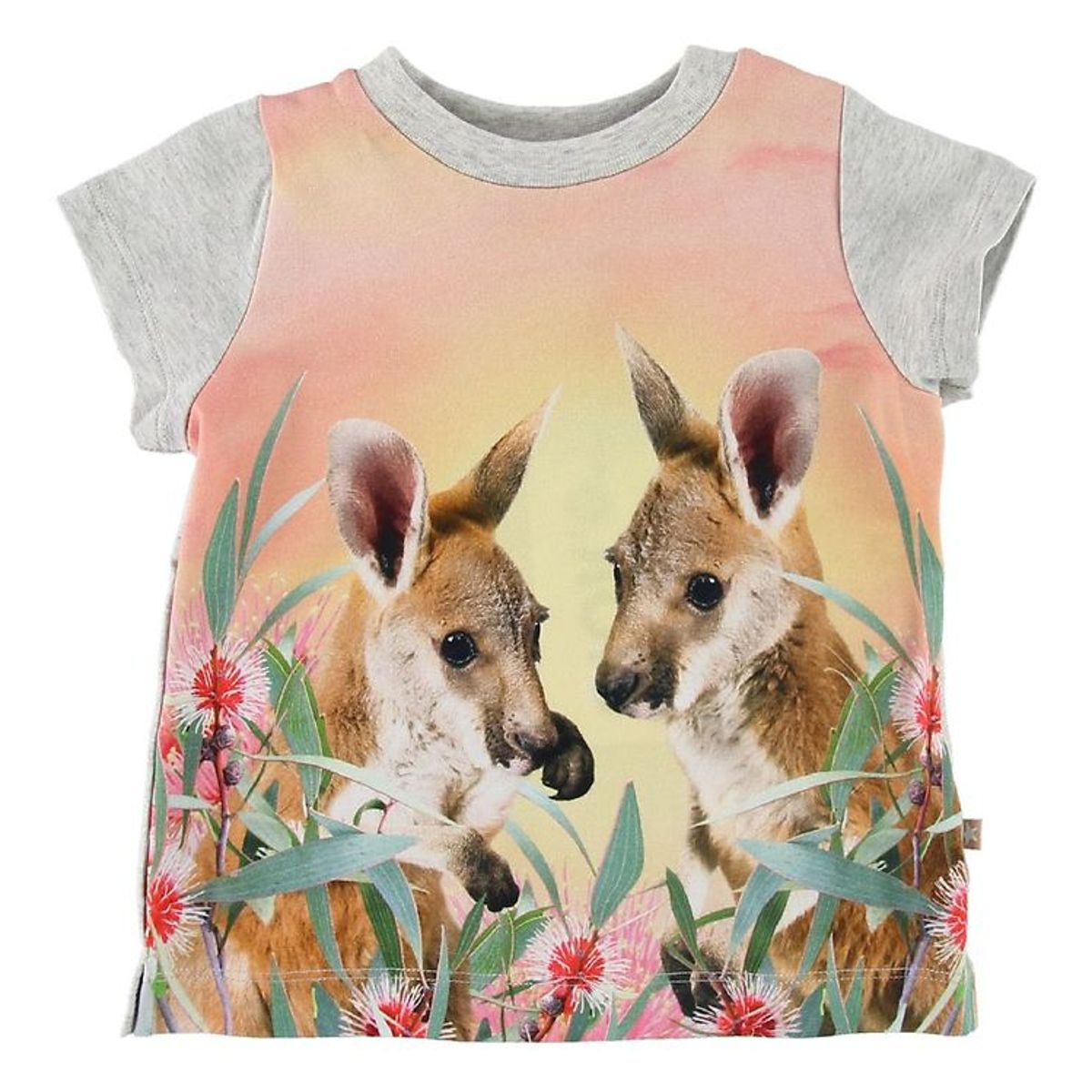 Molo T-shirt - Elly - Cute Kangaroos