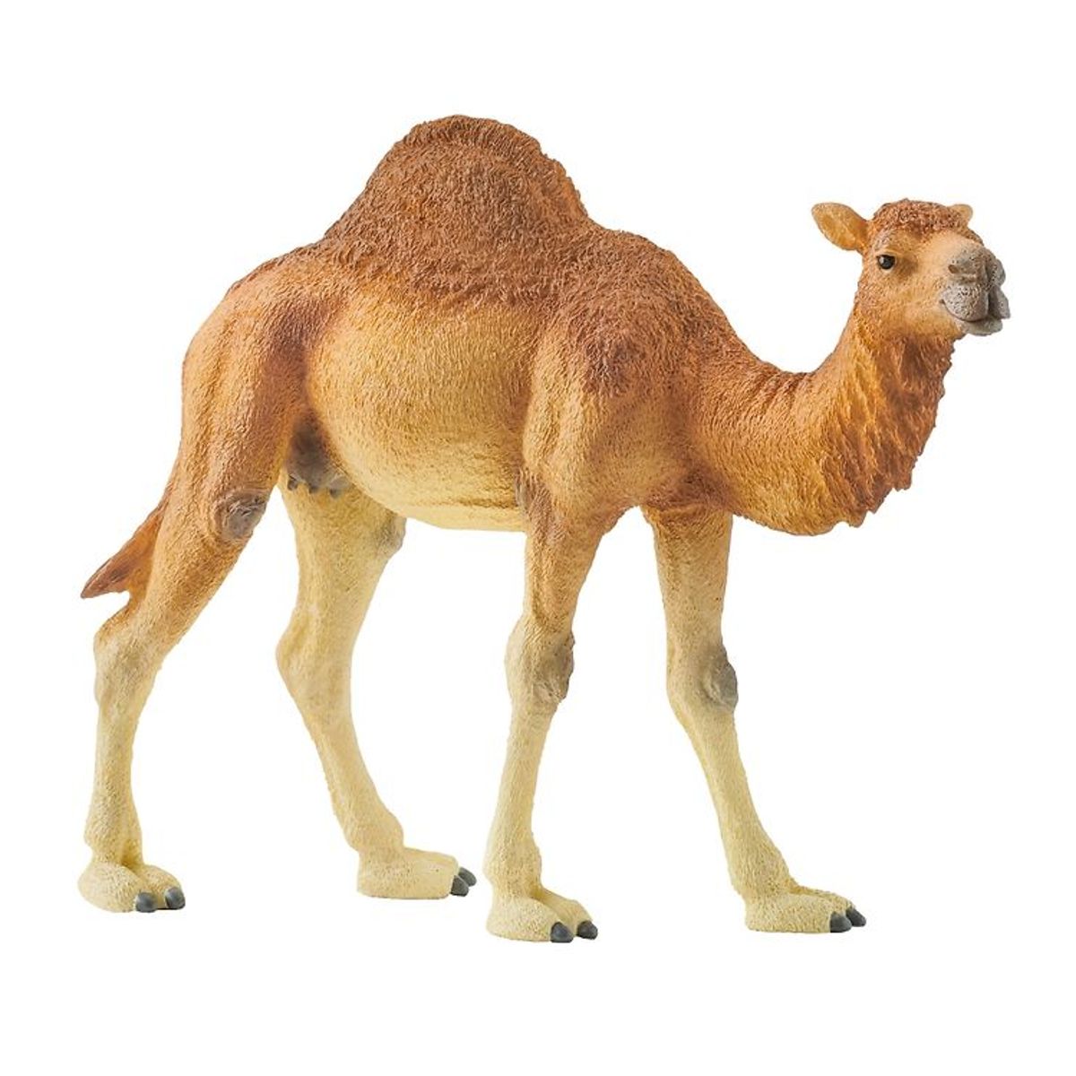 Schleich Dyr - H:11 cm - Dromedar 14832