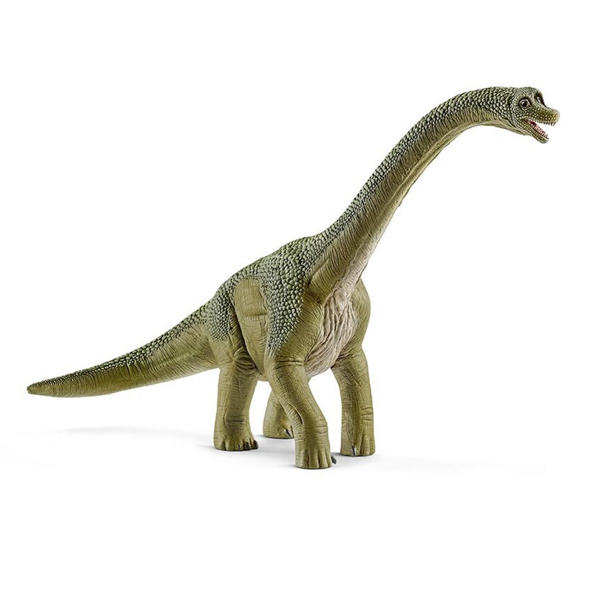 Brachiosaurus (One size)